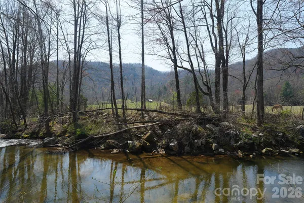 a view of lake with lots of palm trees