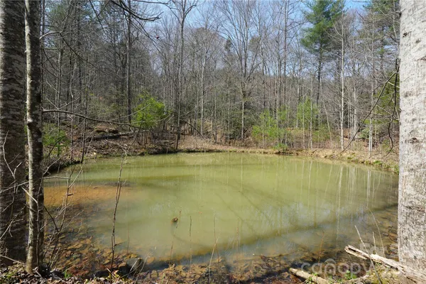 a view of a lake view