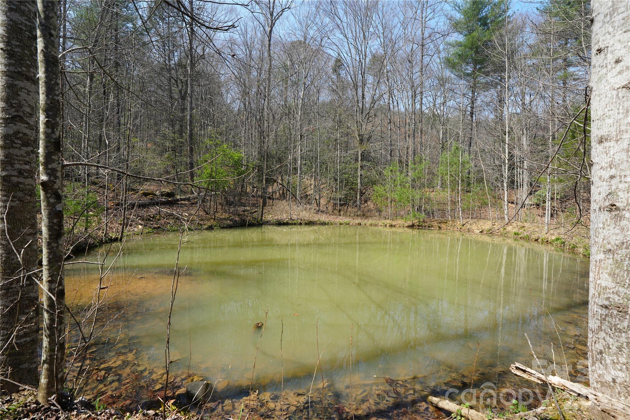 316 Lewis Fork Baptist Church Road Purlear, NC 28665 - Photo 39 of 47