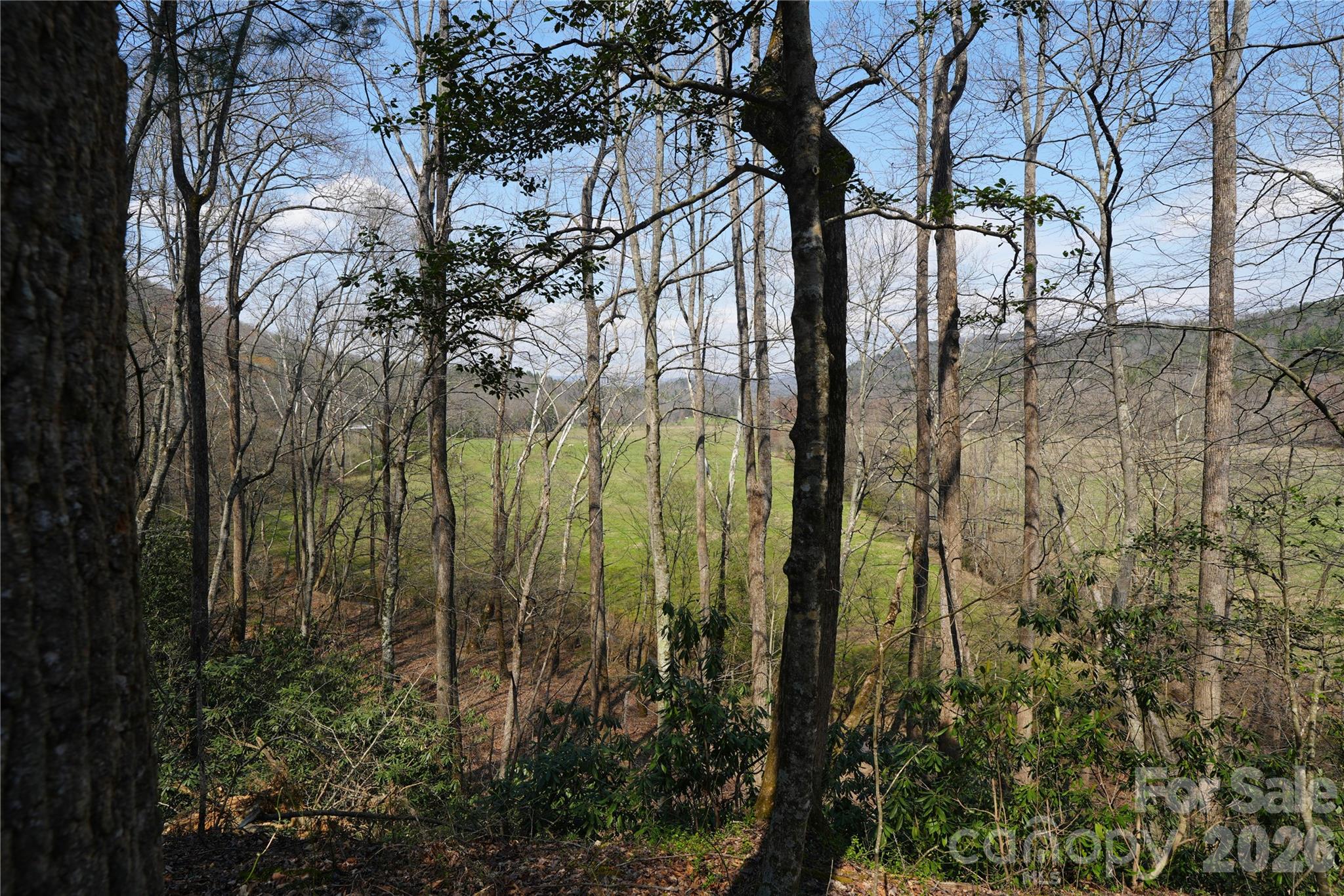 316 Lewis Fork Baptist Church Road Purlear, NC 28665 - Photo 40 of 47