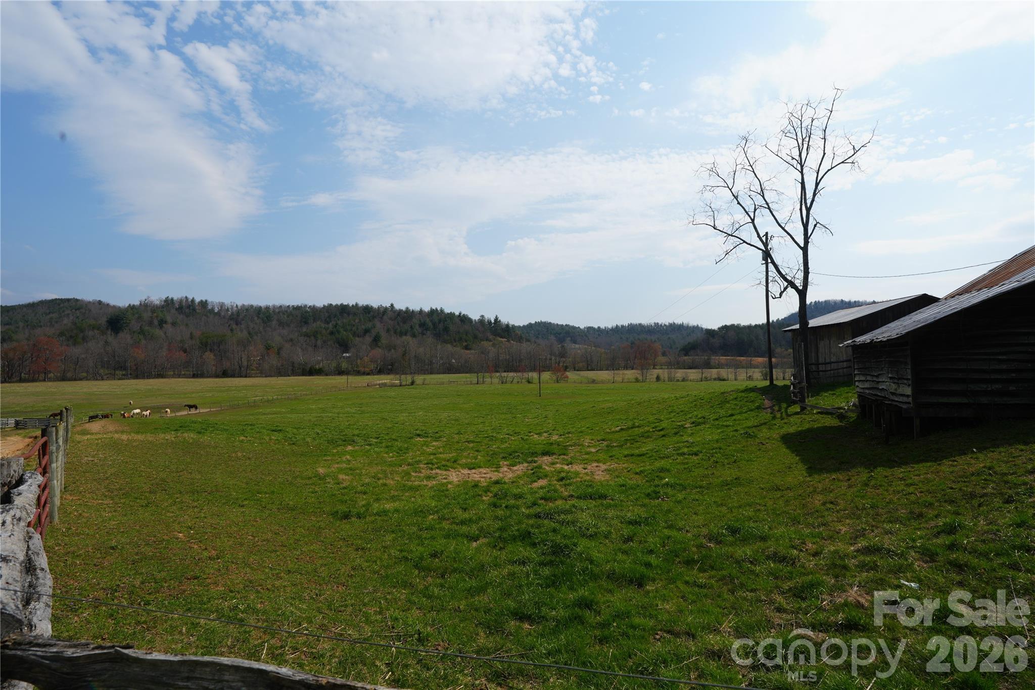 316 Lewis Fork Baptist Church Road Purlear, NC 28665 - Photo 4 of 47