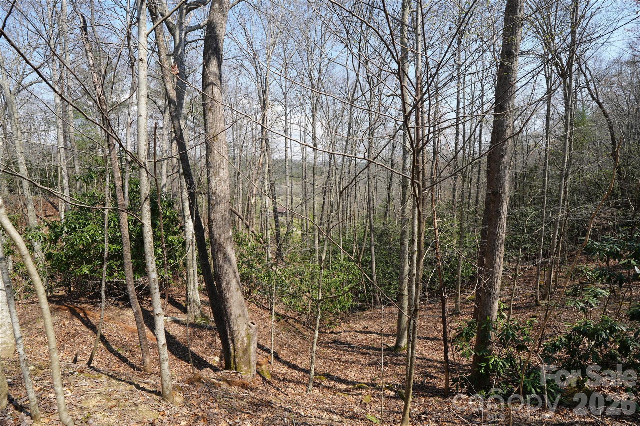 316 Lewis Fork Baptist Church Road Purlear, NC 28665 - Photo 44 of 47