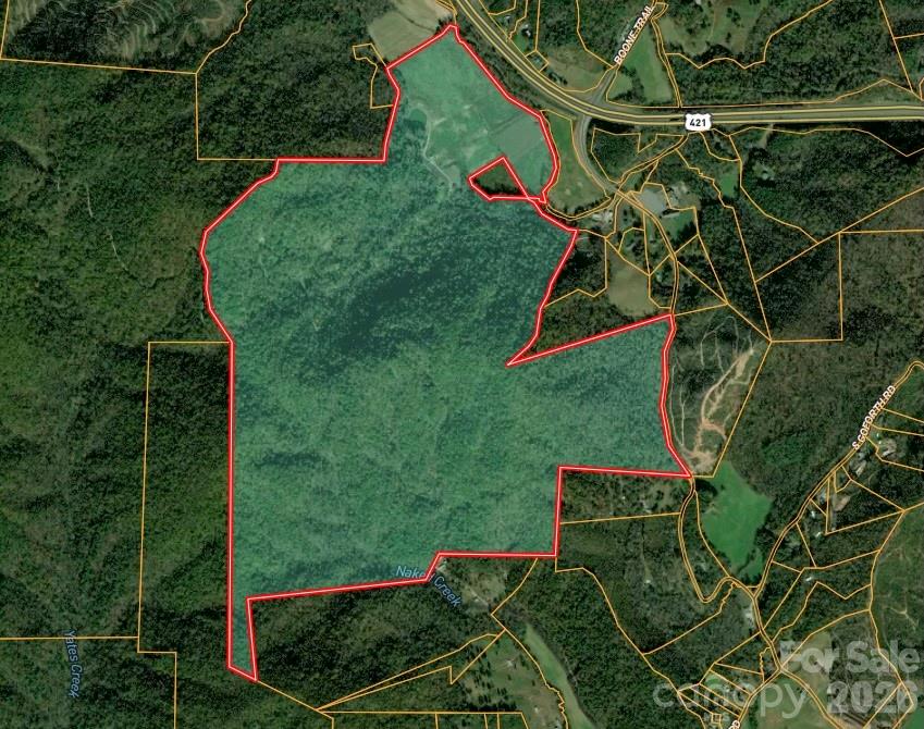 316 Lewis Fork Baptist Church Road Purlear, NC 28665 - Photo 45 of 47