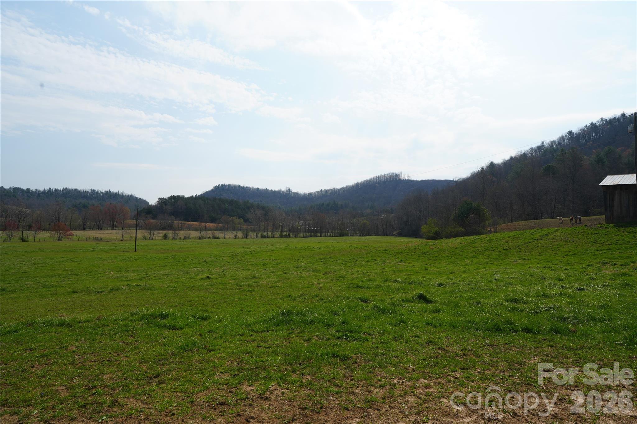 316 Lewis Fork Baptist Church Road Purlear, NC 28665 - Photo 5 of 47