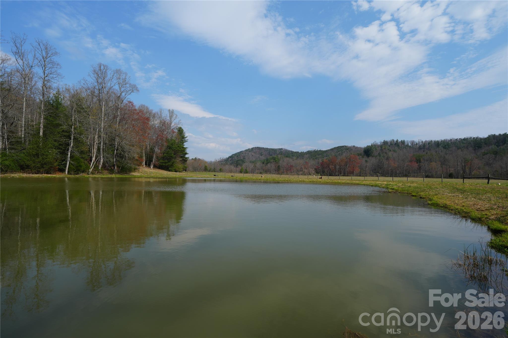 316 Lewis Fork Baptist Church Road Purlear, NC 28665 - Photo 7 of 47