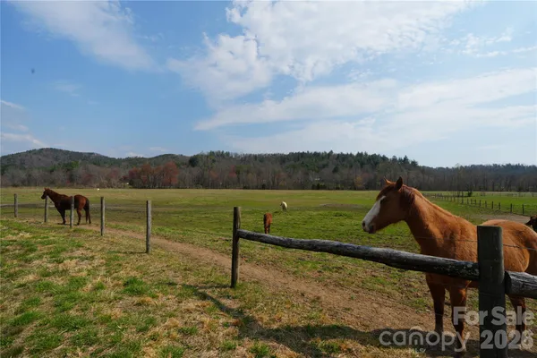 a view of a lake with a yard and a large tree