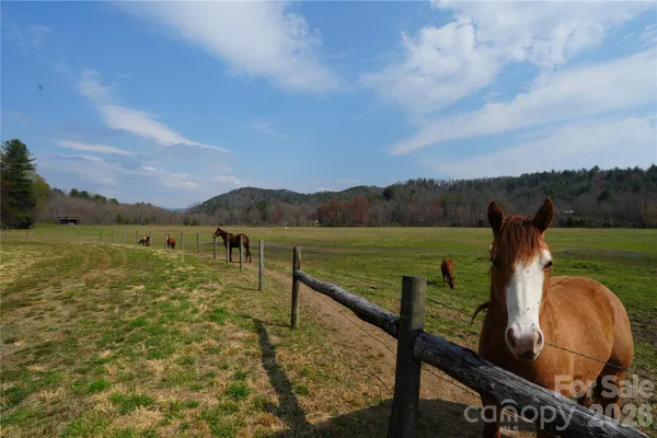a view of a lake with a yard from a balcony