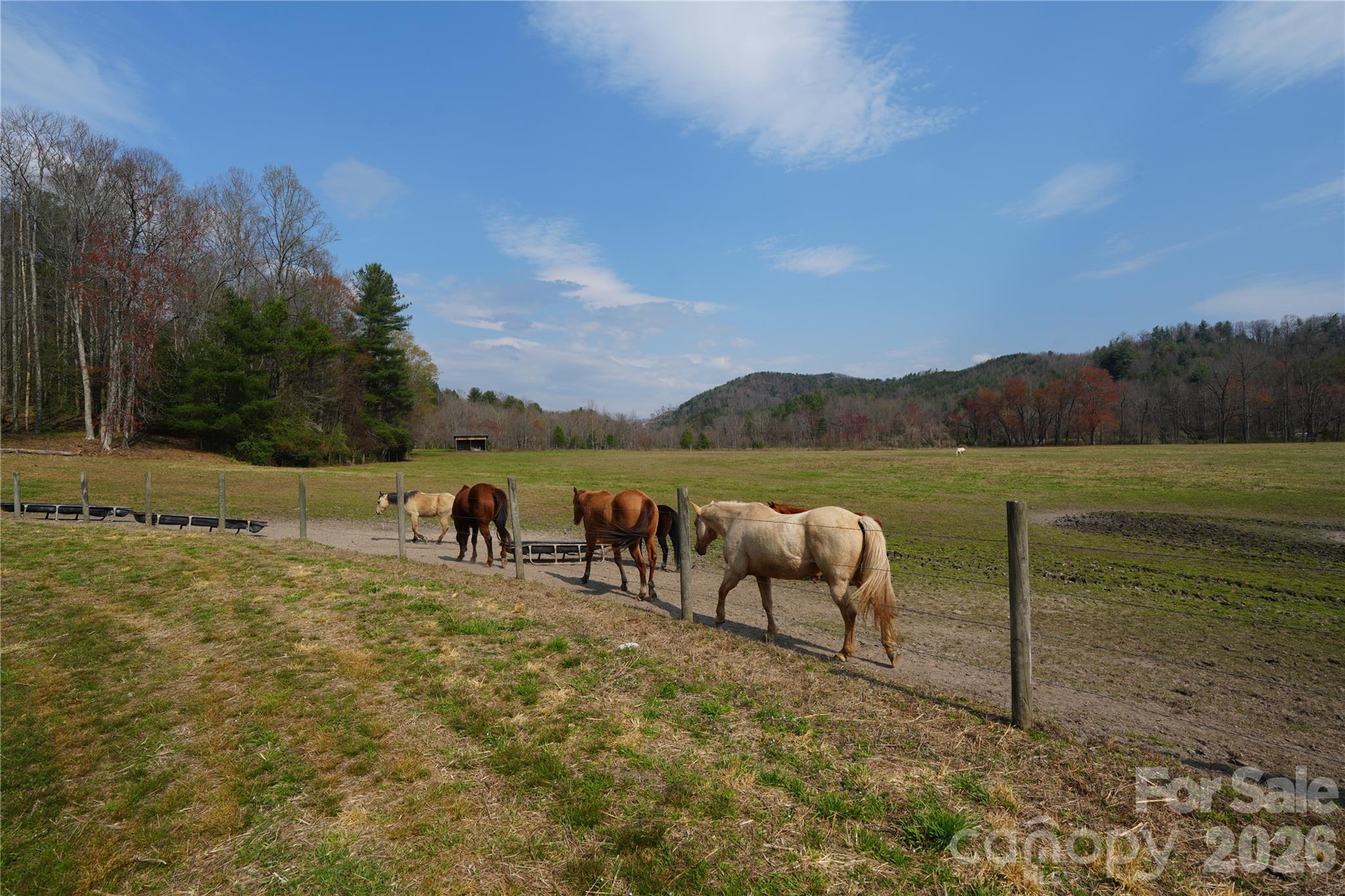 316 Lewis Fork Baptist Church Road Purlear, NC 28665 - Photo 10 of 47