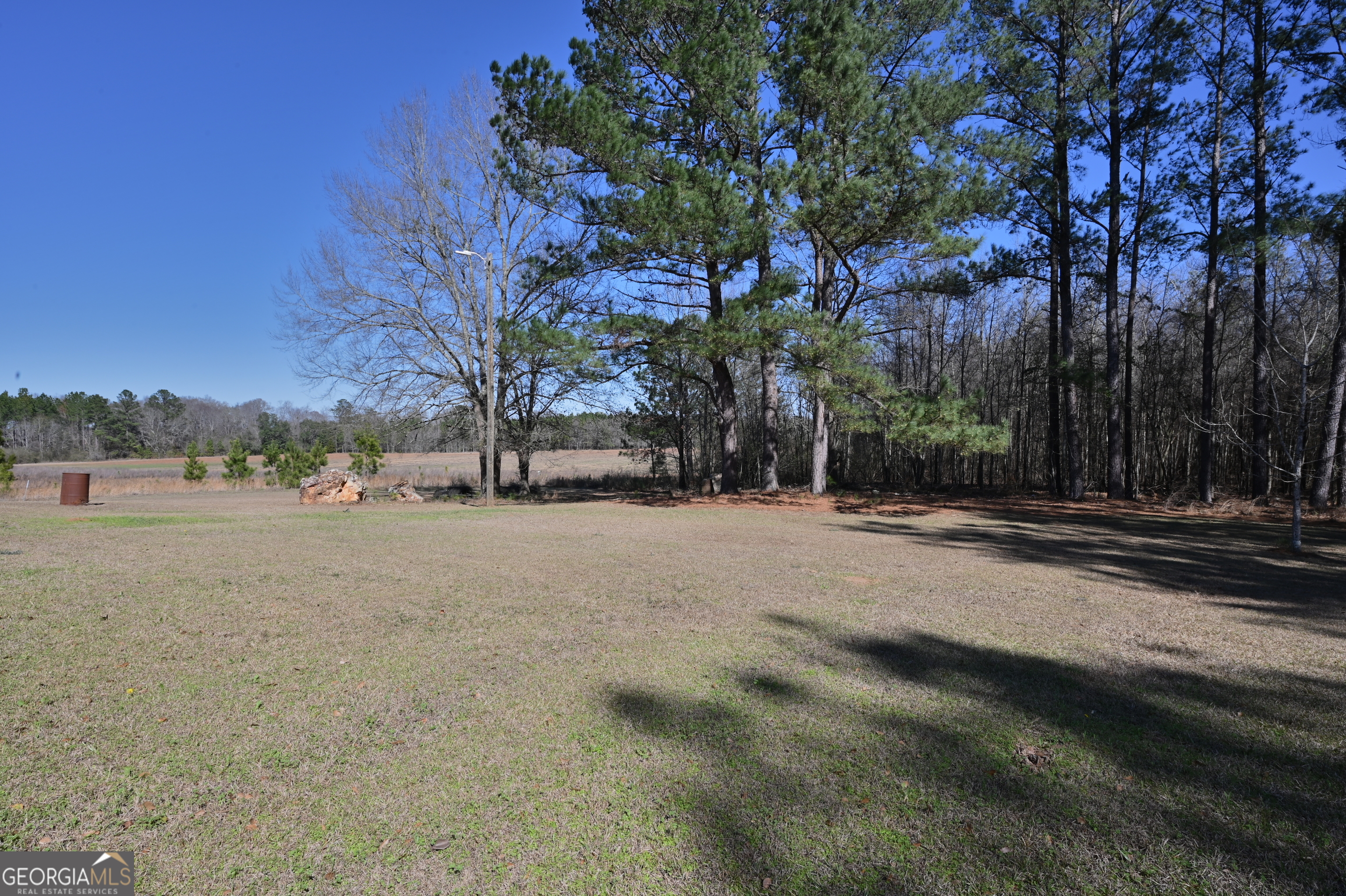 5152 Sandy Bottom Road Blakely, GA 39823 - Photo 5 of 40 a view of road with large trees
