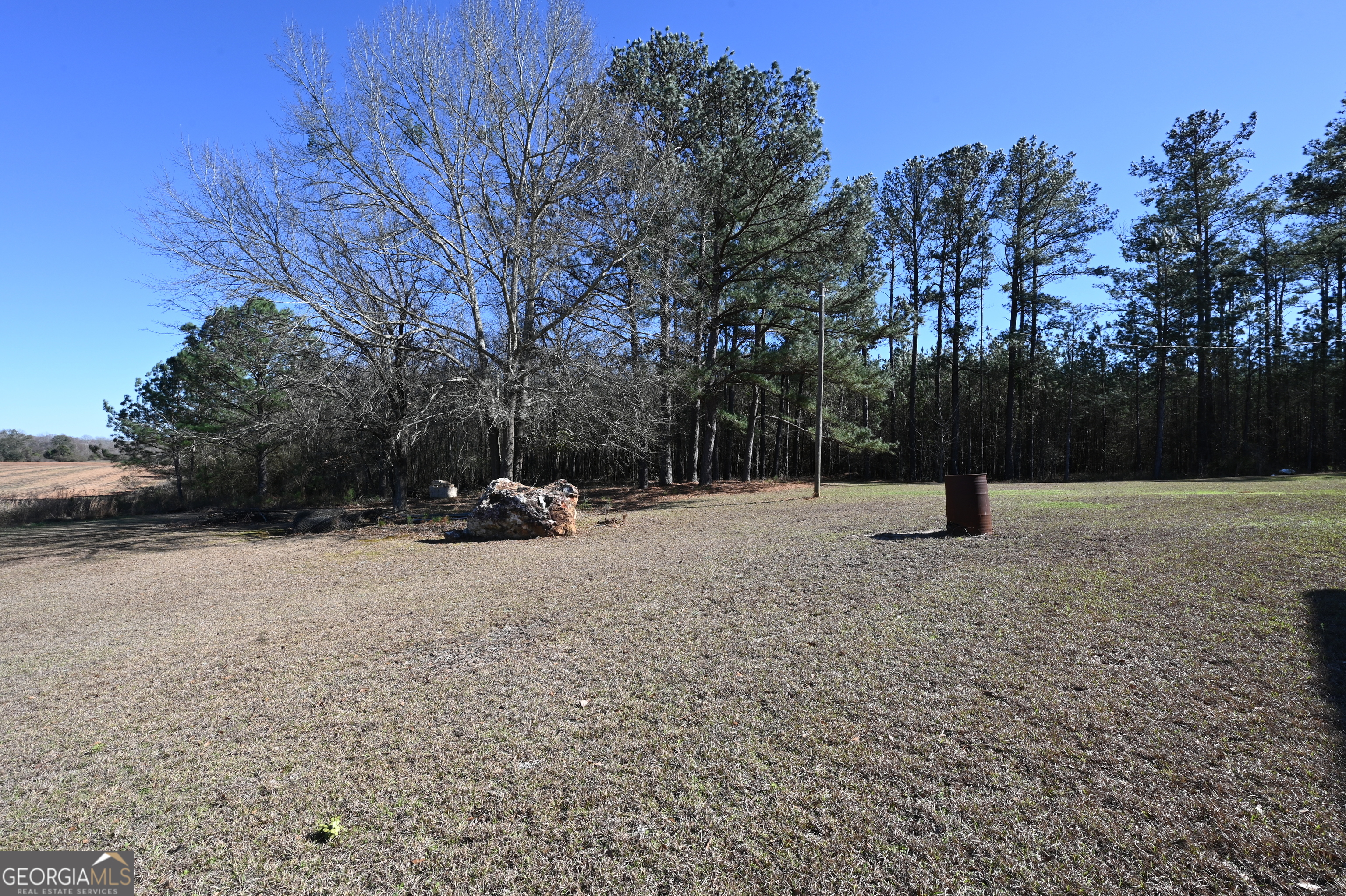 5152 Sandy Bottom Road Blakely, GA 39823 - Photo 10 of 40 a view of covered with snow