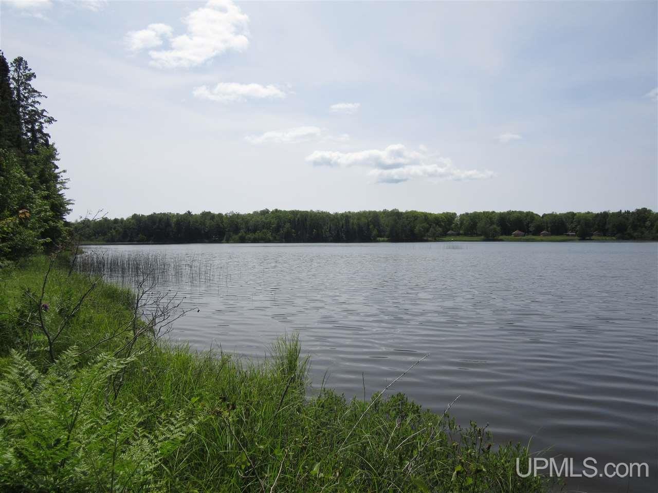 Tbd East Edge Road Germfask, MI 49836 - Photo 1 of 16 Gallery Image 1