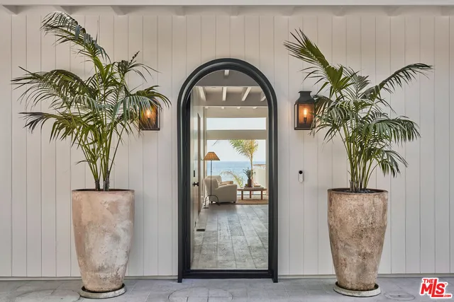 a view of front door with potted plant