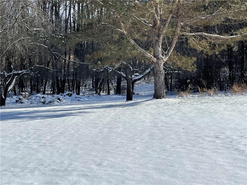 506 Lake Wilhelm Road Sandy Lake, PA 16145 - Photo 17 of 42 a view of road with trees