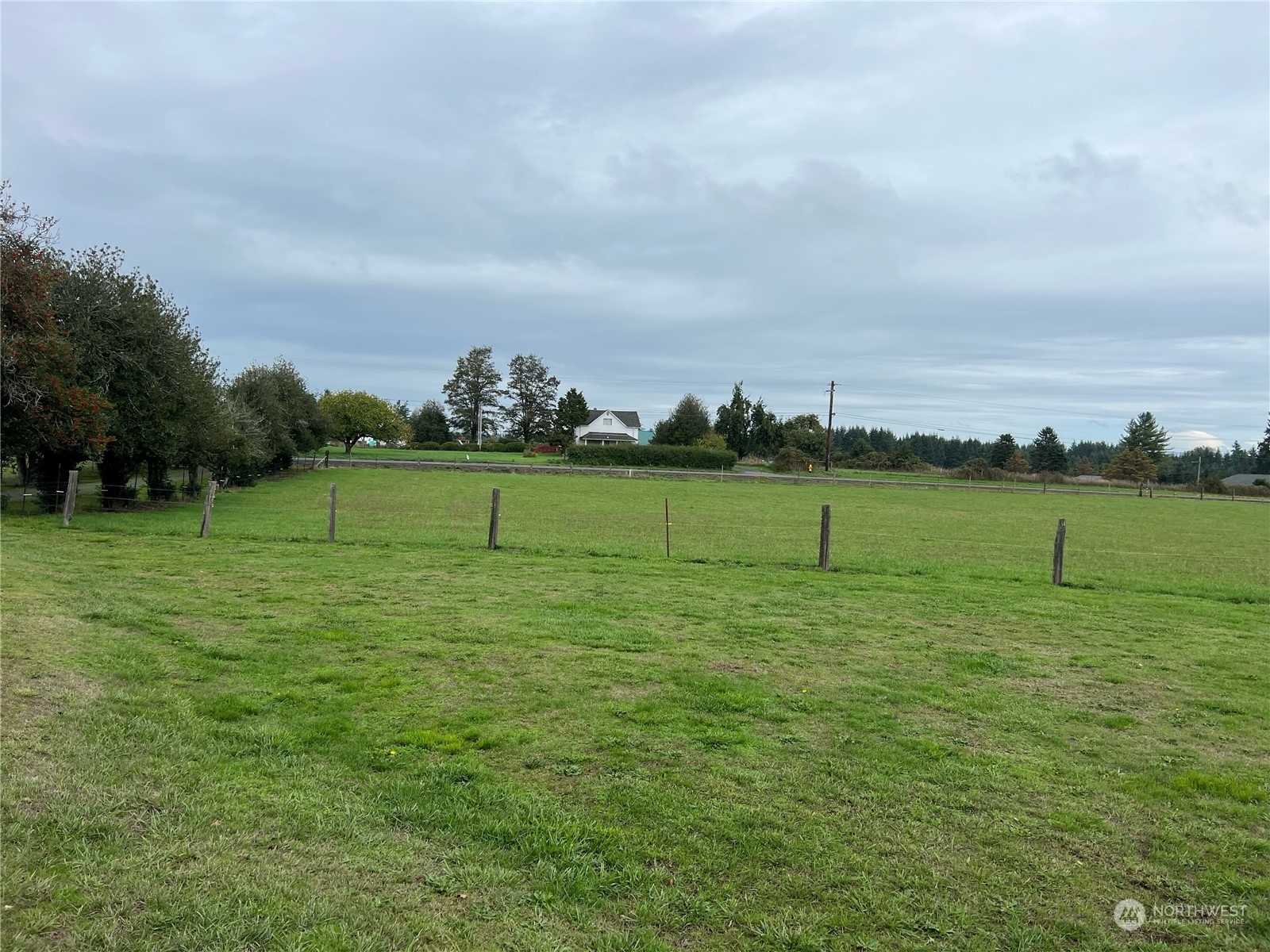 356 Highway 505 Winlock, WA 98596 - Photo 4 of 7