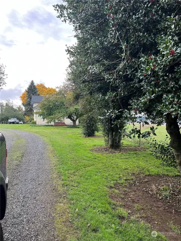 a view of a park with large trees
