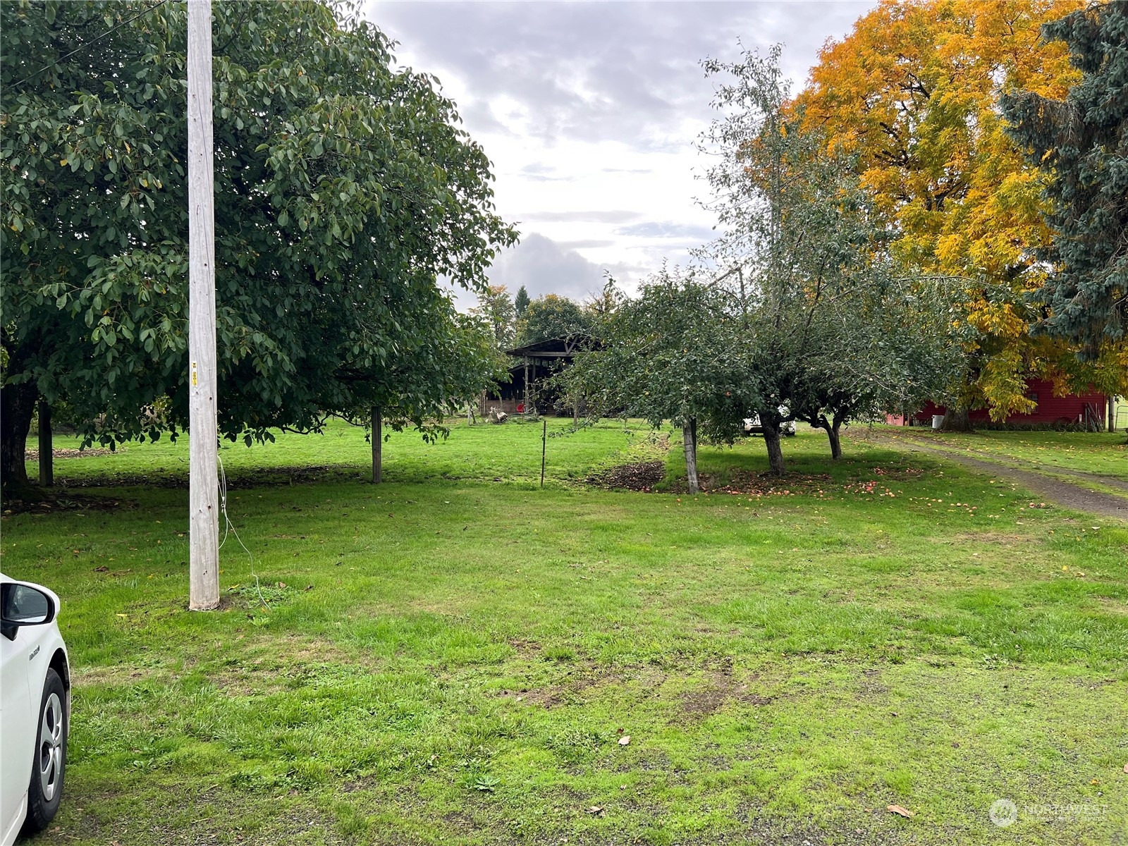 356 Highway 505 Winlock, WA 98596 - Photo 7 of 7