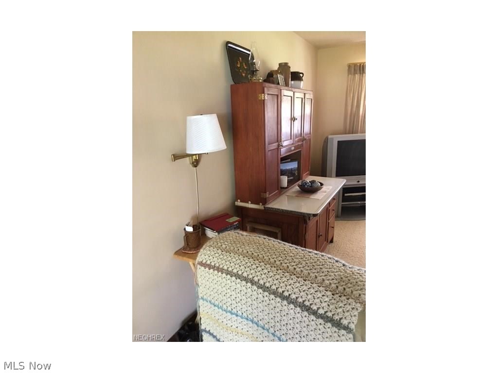 115 Mistletoe Road Niles, OH 44446 - Photo 28 of 32 Gallery Image 28