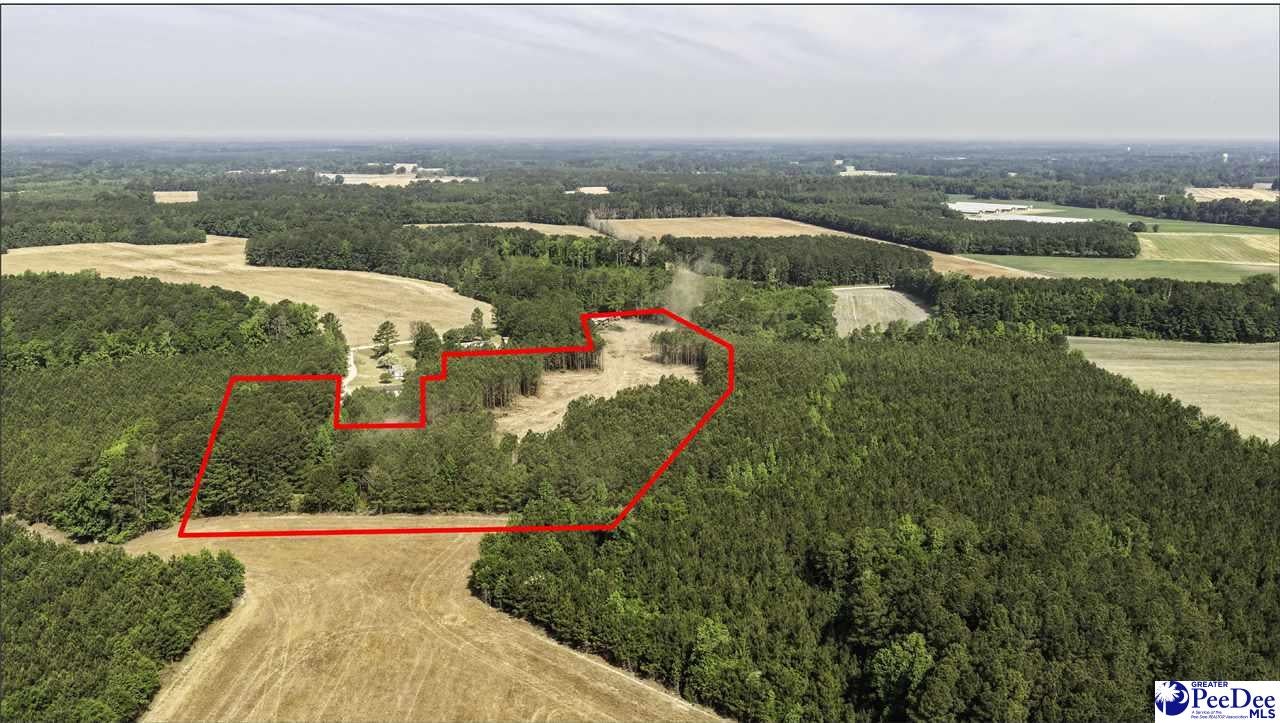 Tbd Newberry Road Lamar, SC 29069 - Photo 2 of 15 Gallery Image 2