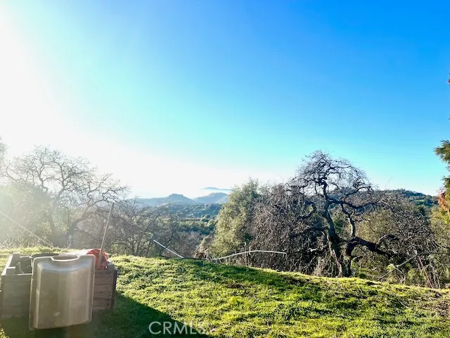 a view of a lush green field