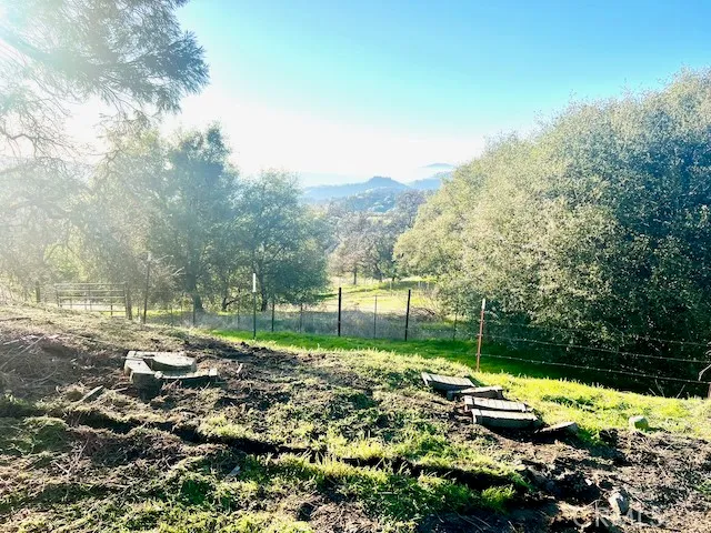 a view of backyard with green space