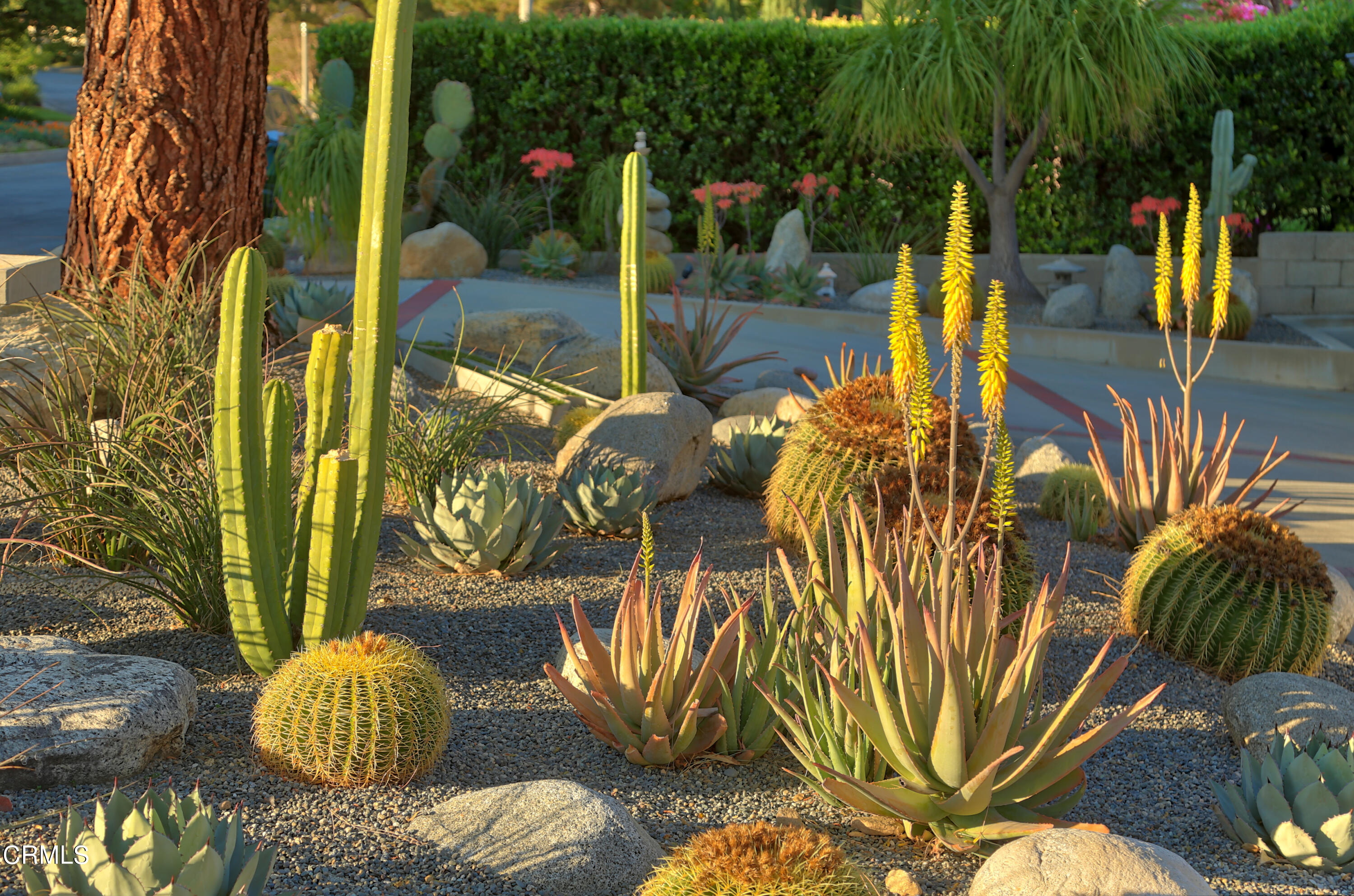 1950 Canyon Close Road Pasadena, CA 91107 - Photo 41 of 48 41 Front Yard
