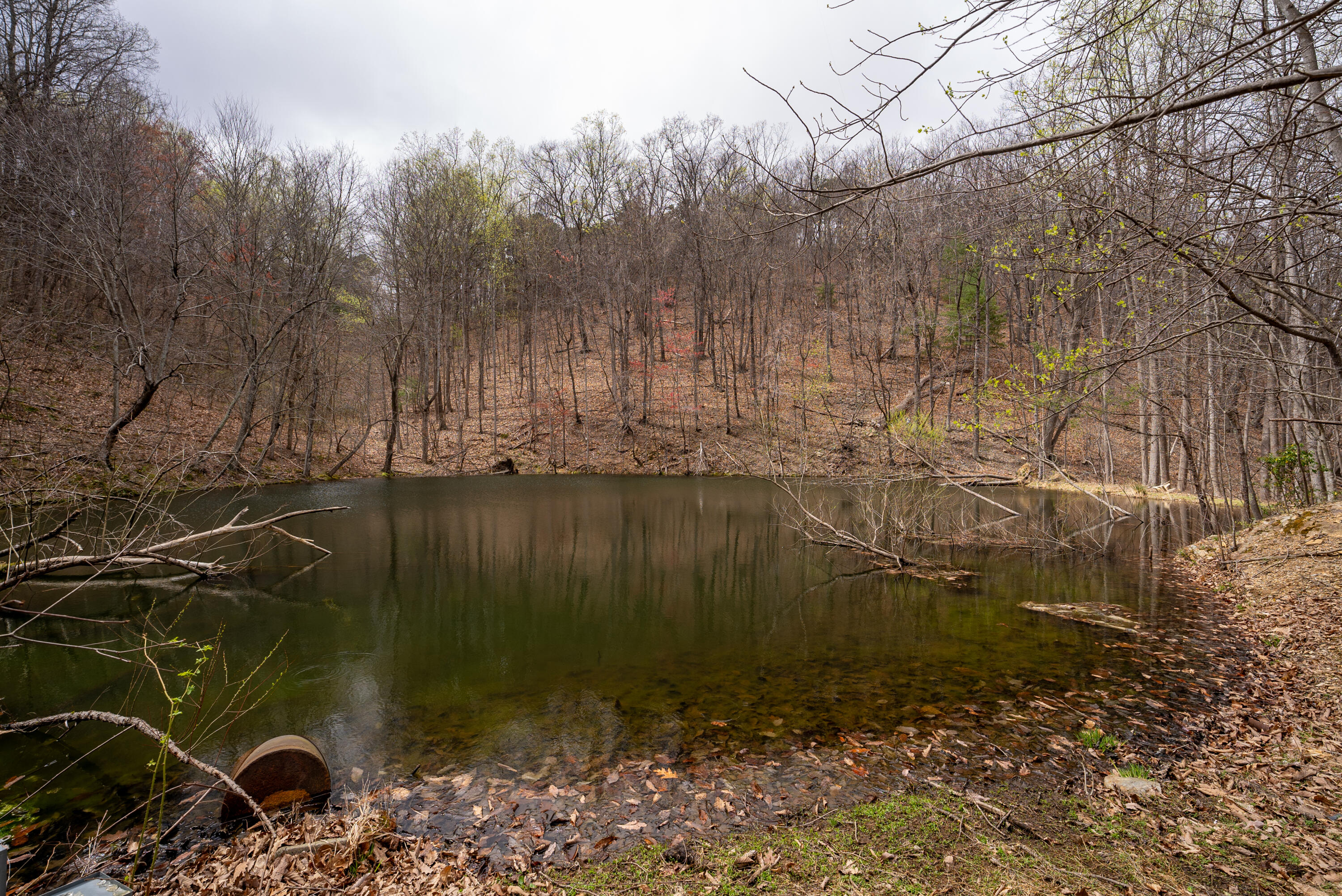 6500 Mt Chestnut Road Roanoke, VA 24018 - Photo 54 of 76 Valhalla #58