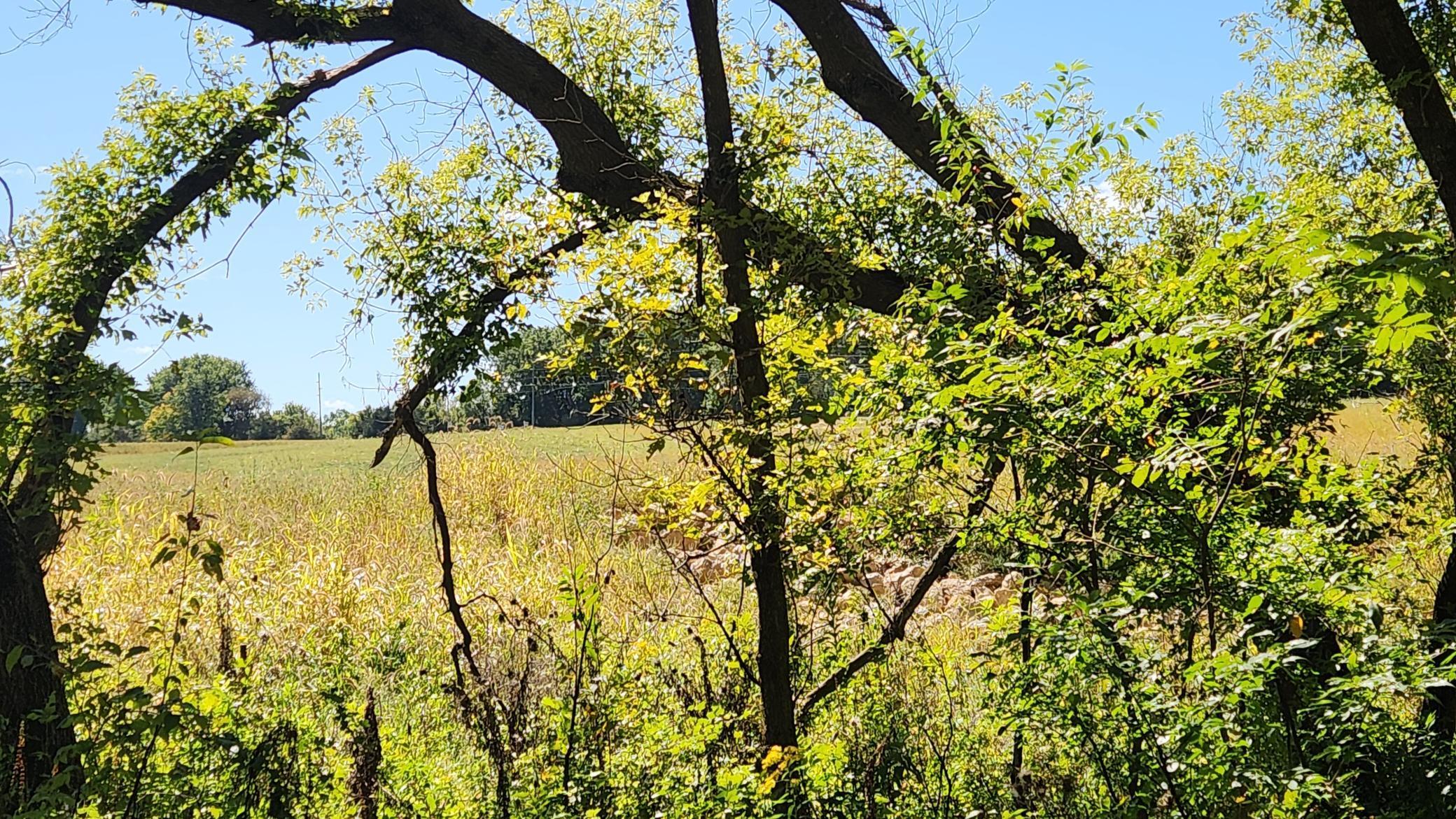 L8-b1 Miller Place Northwest Oronoco, MN 55960 - Photo 11 of 22