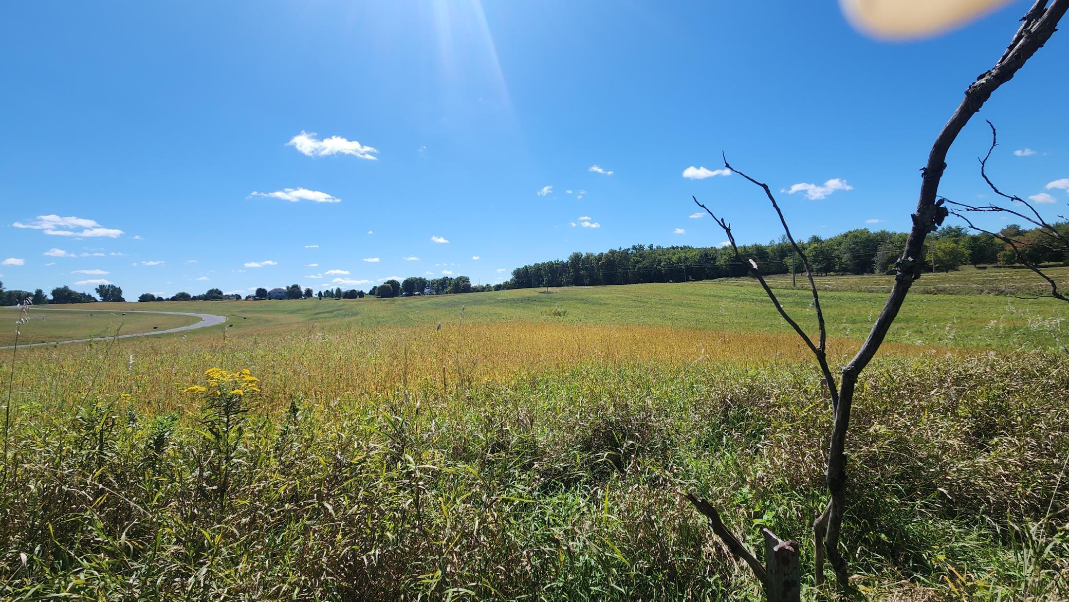 L8-b1 Miller Place Northwest Oronoco, MN 55960 - Photo 12 of 22