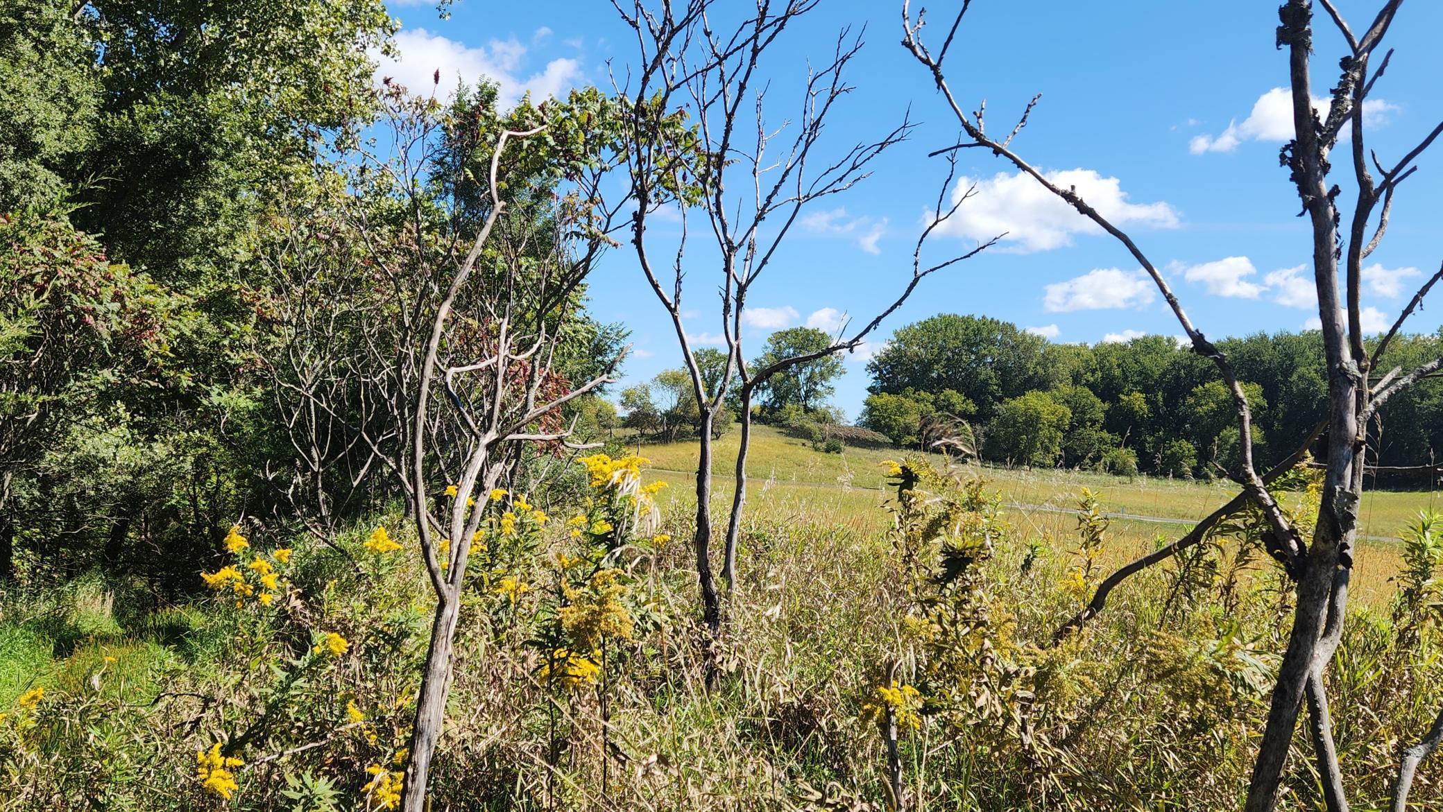 L8-b1 Miller Place Northwest Oronoco, MN 55960 - Photo 13 of 22