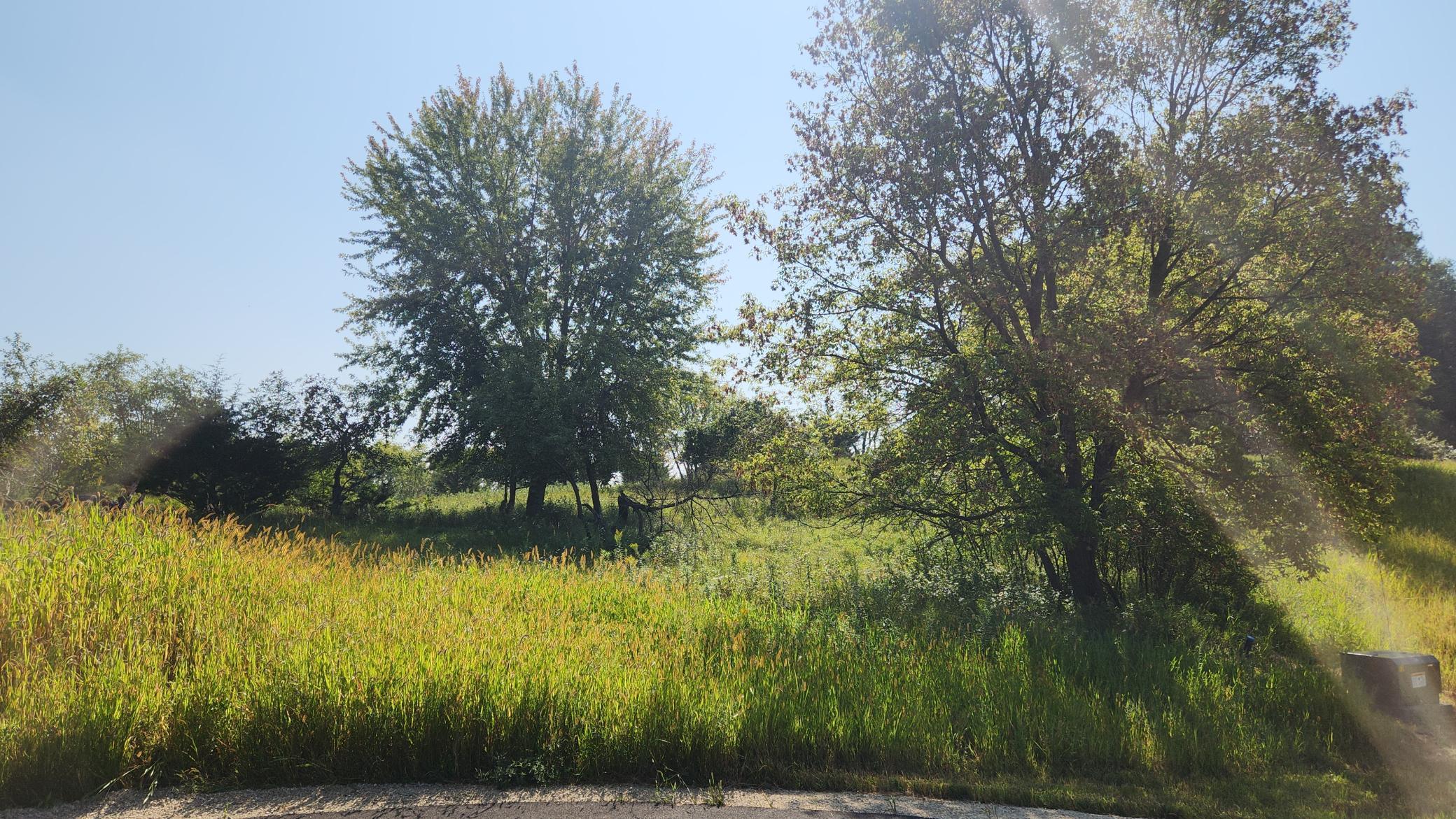 L8-b1 Miller Place Northwest Oronoco, MN 55960 - Photo 18 of 22