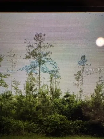 $1,500,000 | 305 County Road, Bunnell, FL 32110