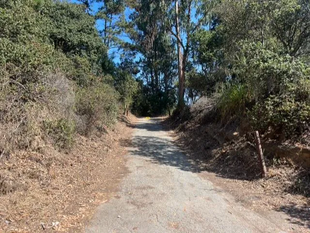a view of a yard covered in snow