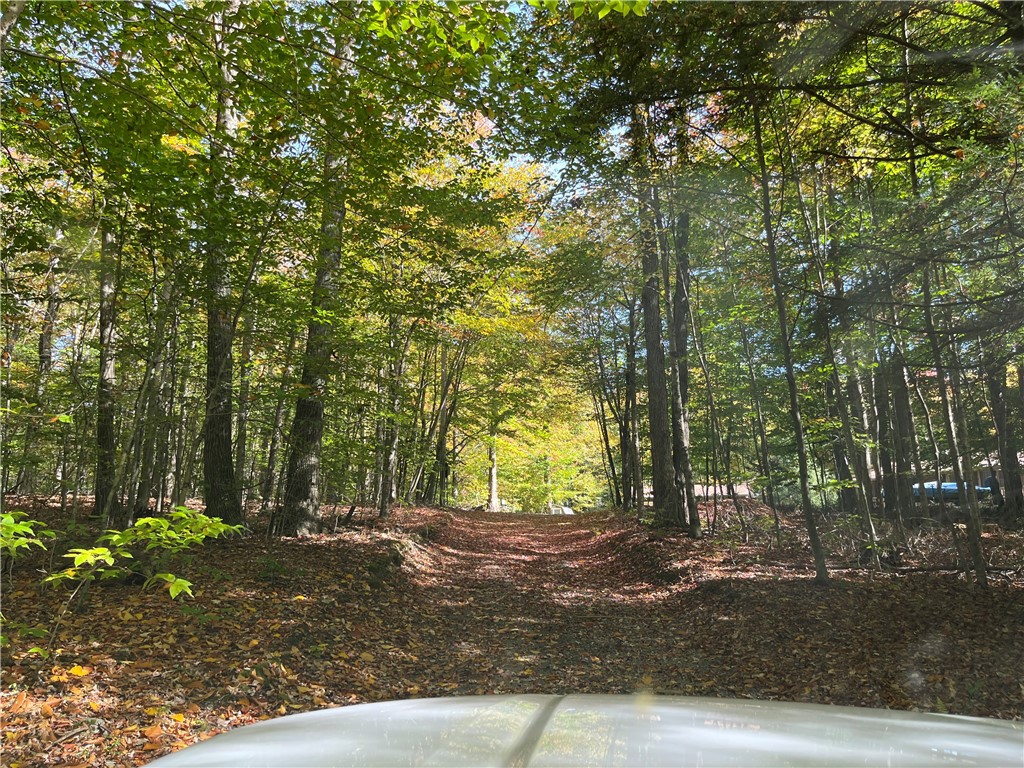 272 Frerer Road Bainbridge, NY 13733 - Photo 12 of 43