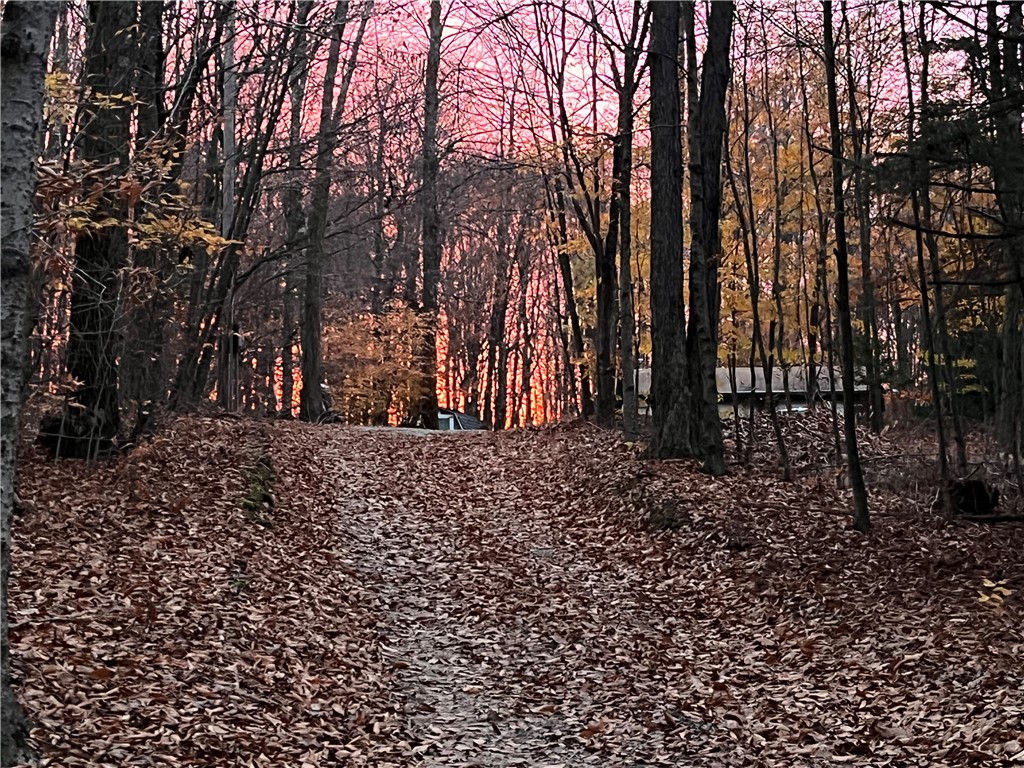 272 Frerer Road Bainbridge, NY 13733 - Photo 13 of 43