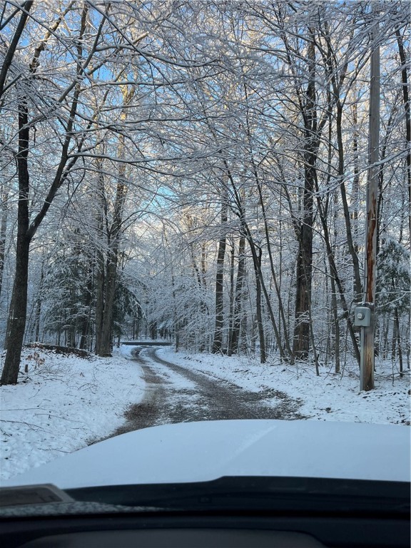 272 Frerer Road Bainbridge, NY 13733 - Photo 14 of 43