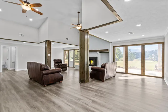 a view of backyard with large trees and plants