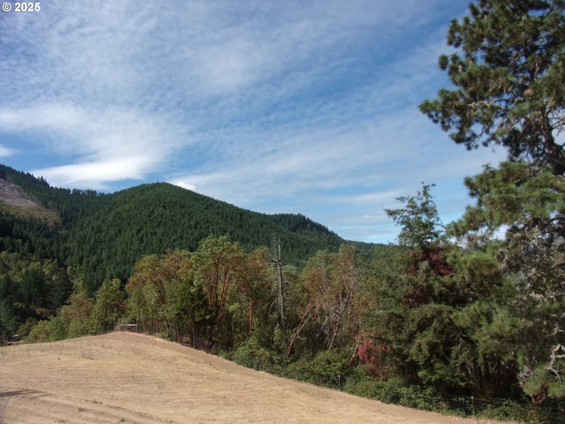 375 Jordan Creek Road Riddle, OR 97469 - Photo 12 of 35 a view of a dry yard with mountains in the background