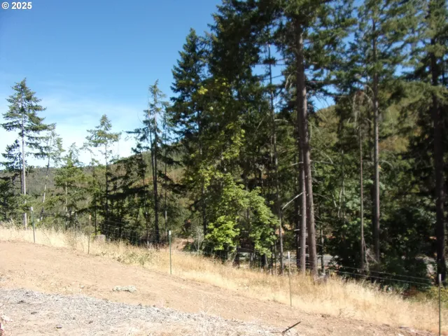 a living room with furniture rug and a window
