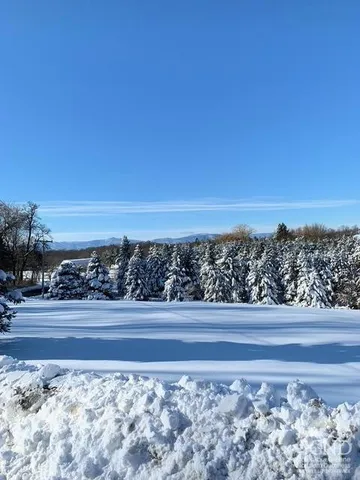 a view of a swimming pool and trees in the background