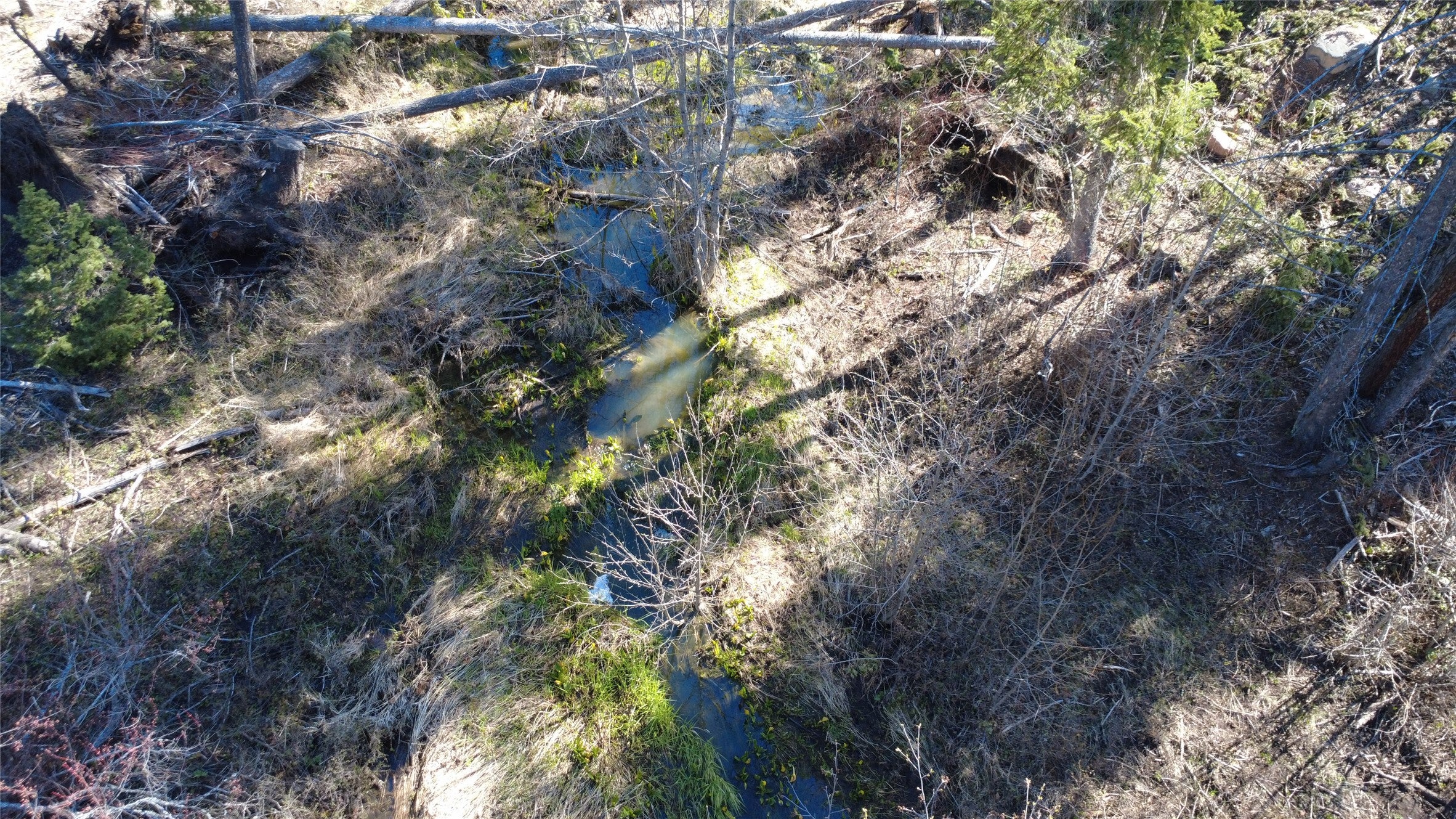 336 Old Barn Road Seeley Lake, MT 59868 - Photo 1 of 8 Gallery Image 1