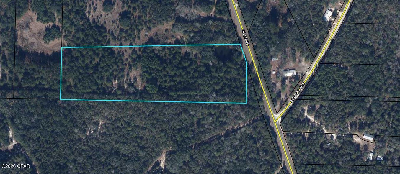 0 South River Road Satsuma, FL 32189 - Photo 1 of 6