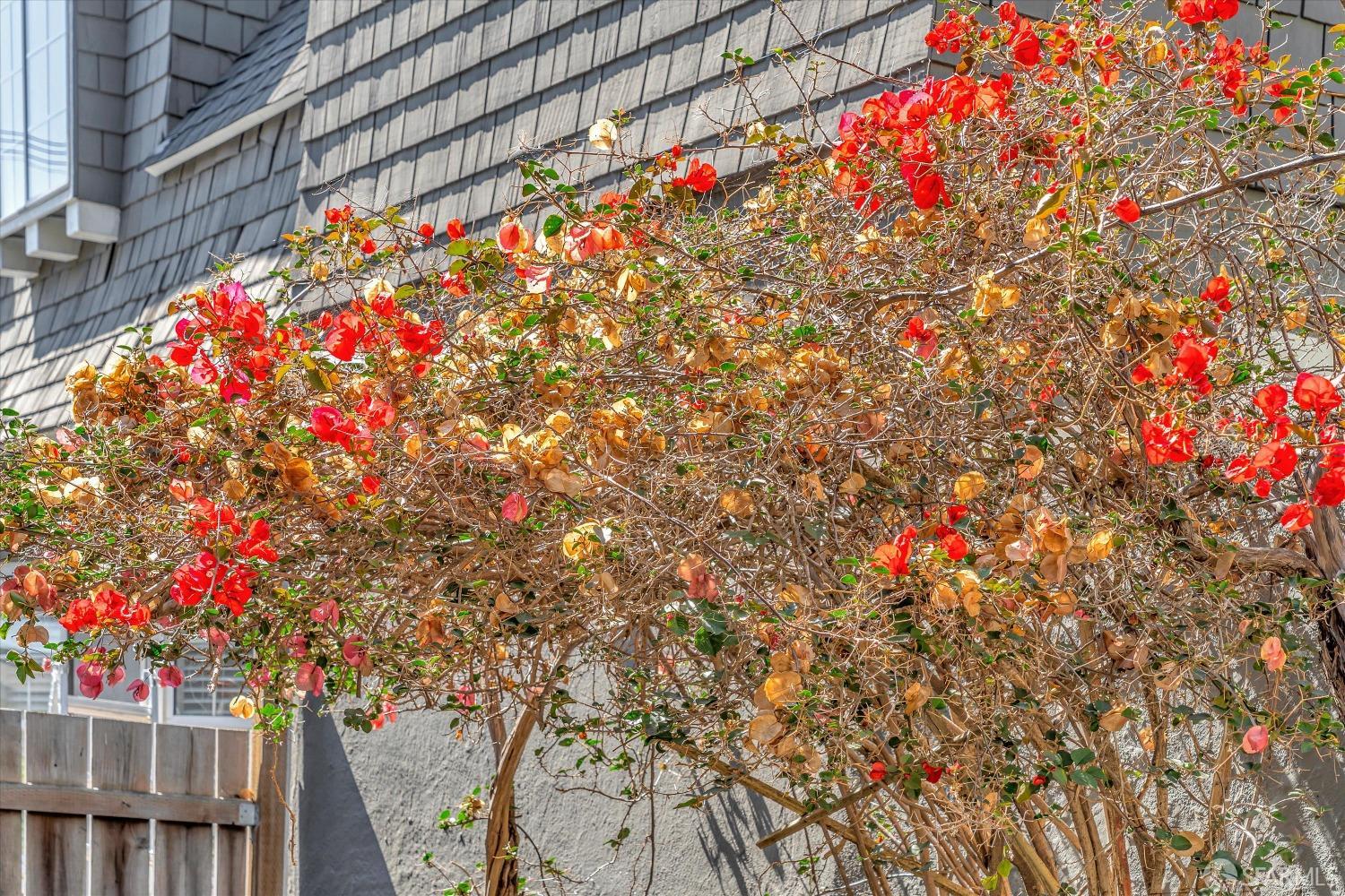 1917 Oregon Street Berkeley, CA 94703 - Photo 43 of 43