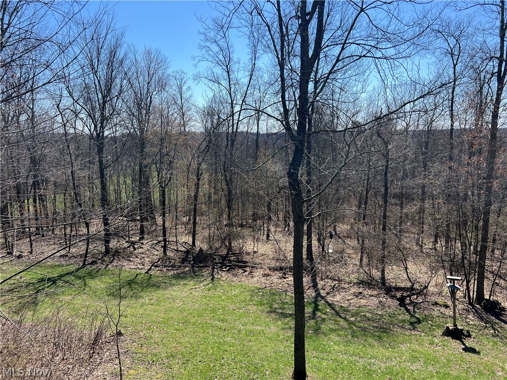 5180 Fresno Road Northwest Dellroy, OH 44620 - Photo 6 of 47