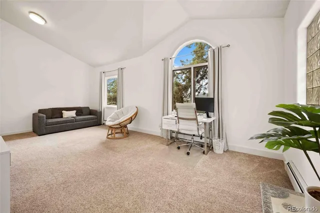 a living room with furniture and a potted plant