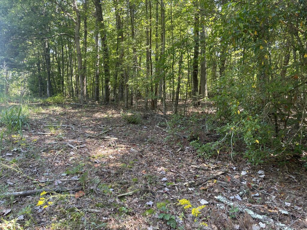 60 Oasis Drive Blue Ridge, GA 30513 - Photo 68 of 86 Gallery Image 68