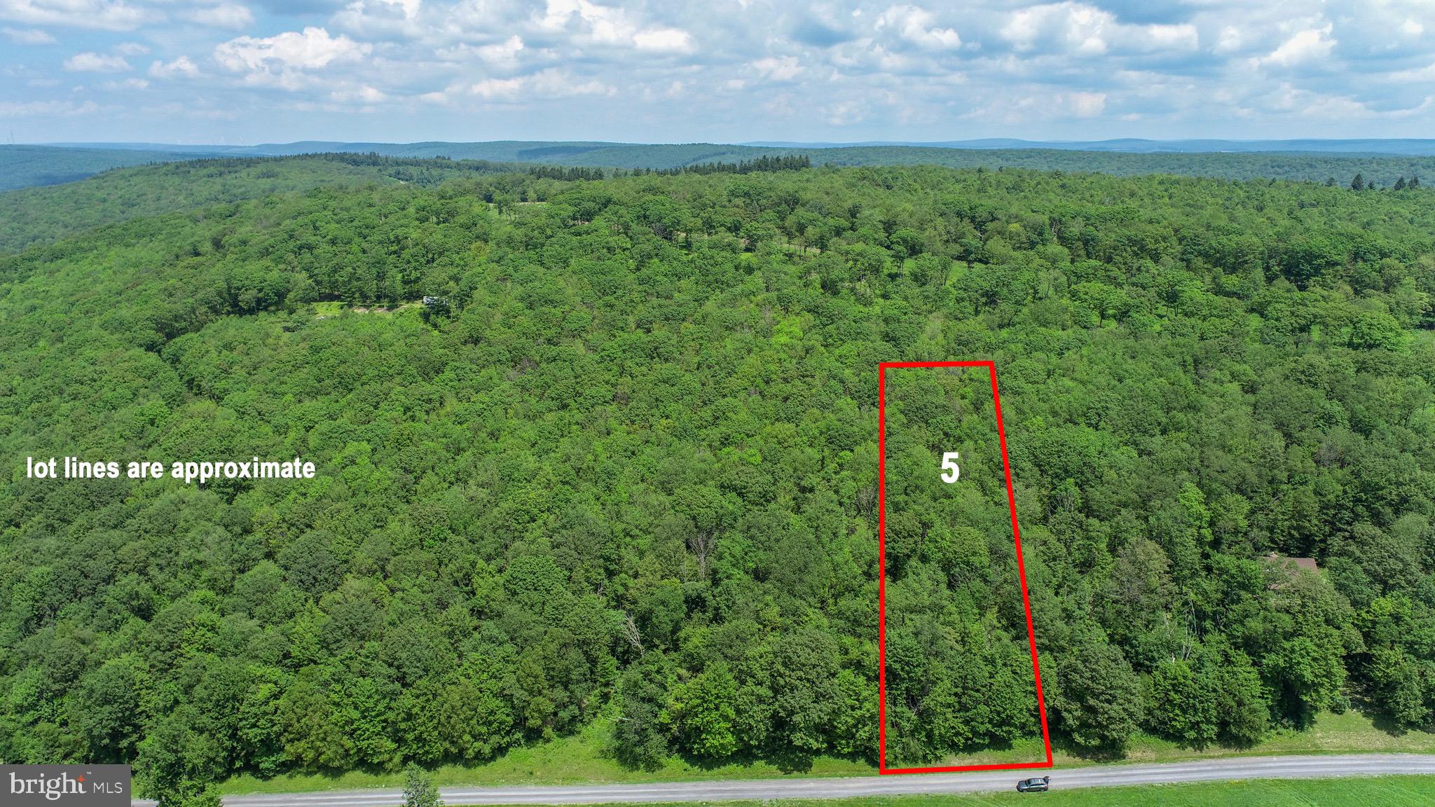 a view of a field of grass and trees