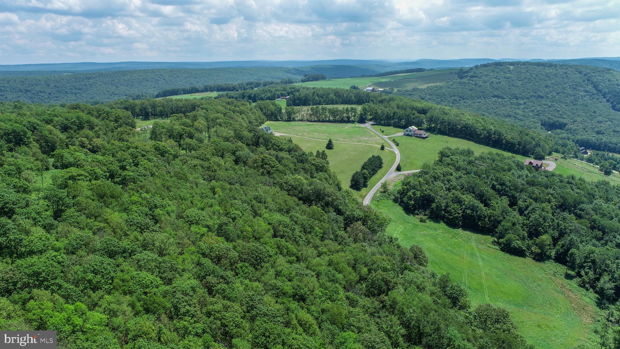 Lot 5 Greenwood Ridge Road Accident, MD 21520 - Photo 11 of 13 a view of a lush green space with sea