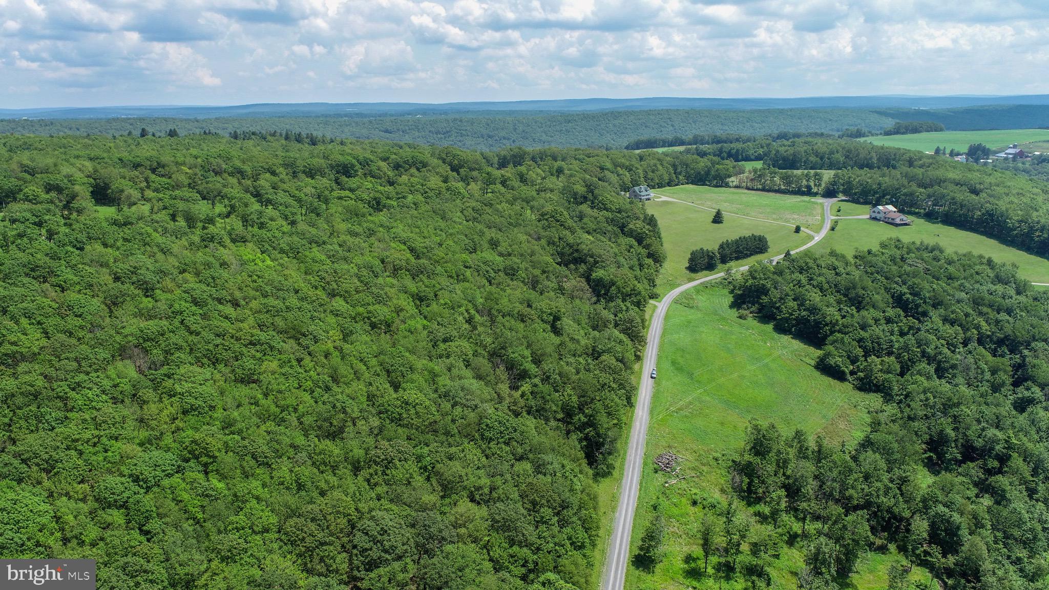 Lot 5 Greenwood Ridge Road Accident, MD 21520 - Photo 12 of 13 a view of a green field with lots of bushes