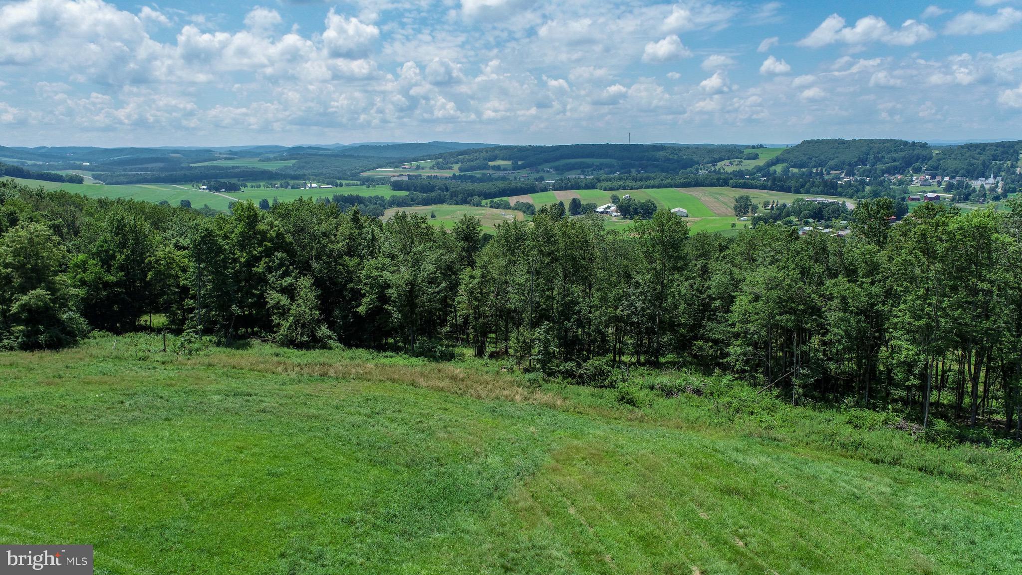 Lot 5 Greenwood Ridge Road Accident, MD 21520 - Photo 4 of 13