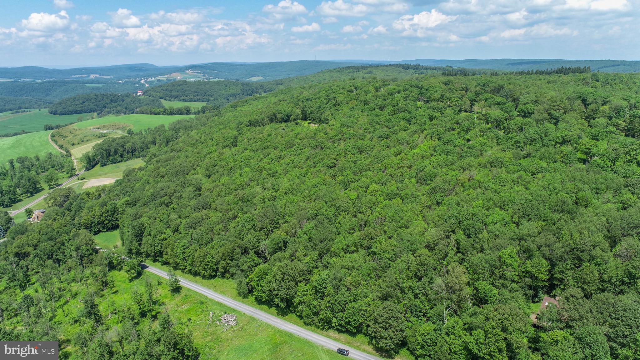 Lot 5 Greenwood Ridge Road Accident, MD 21520 - Photo 5 of 13 a view of a lush green outdoor space with a sink and mountains in the background